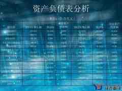 公司報(bào)表翻譯_公司報(bào)表翻譯公司