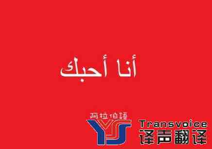 阿拉伯語.jpg 阿拉伯語.jpg