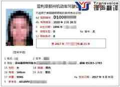 美國亞利桑那州駕照中文翻譯模板