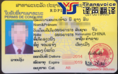 老撾駕照翻譯_老撾駕照換國內(nèi)駕照證【車管