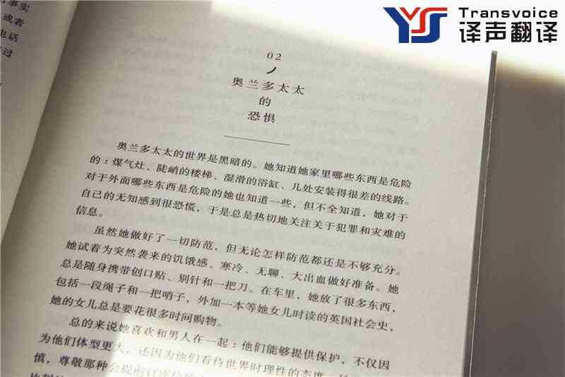 文學(xué)翻譯的現(xiàn)狀