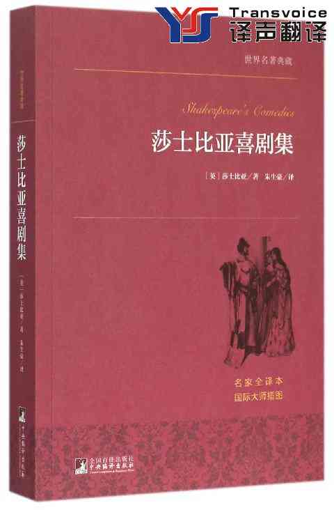 文學(xué)翻譯的現(xiàn)狀