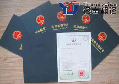 譯員在進(jìn)行專利翻譯時都有哪些要求(圖2) 專利翻譯公司