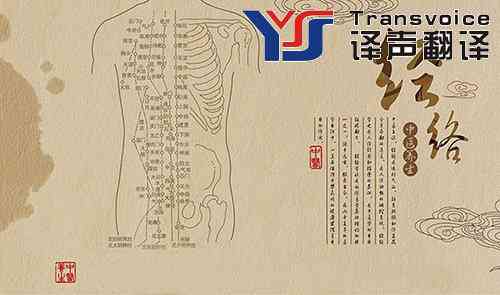 中醫(yī)翻譯 中醫(yī)翻譯