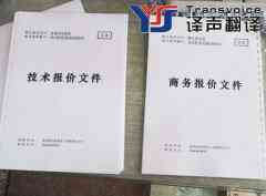 翻譯公司：招投標(biāo)翻譯助你成功