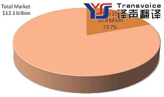 2007年全球翻譯公司25強排行榜(圖1) Fig01