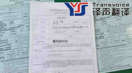 保險翻譯 保險翻譯