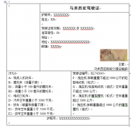 Lesen Memandu Malaysia 馬來西亞駕照翻譯