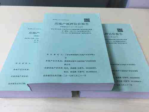 評估報告翻譯 評估報告翻譯