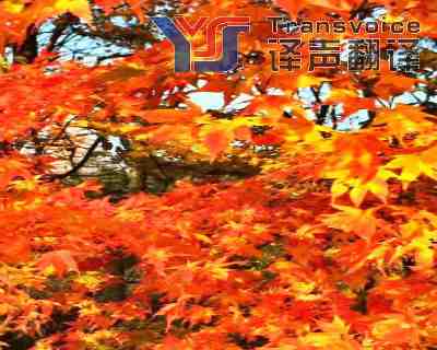 口碑好的翻譯公司