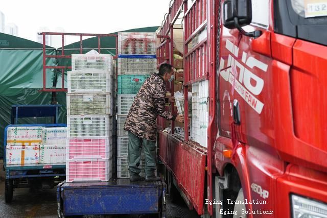 貨運物流暢通 smooth freight and logistics