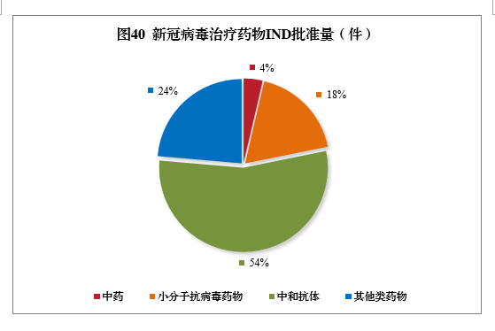 2021年度藥品審評(píng)報(bào)告(圖50) 49.png